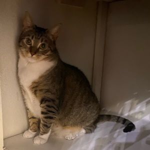 Meet your Posher, Ashlyn